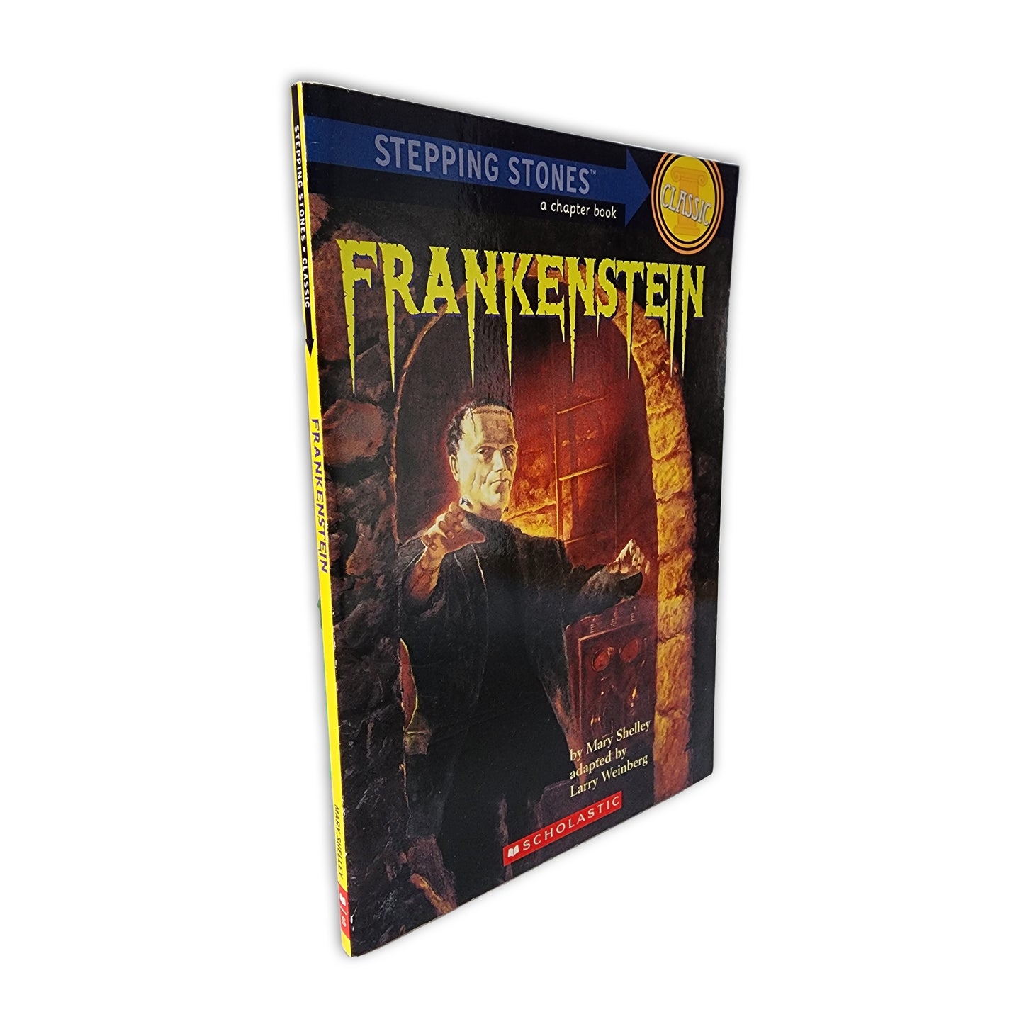 Mary Shelley - Frankenstein - 2005