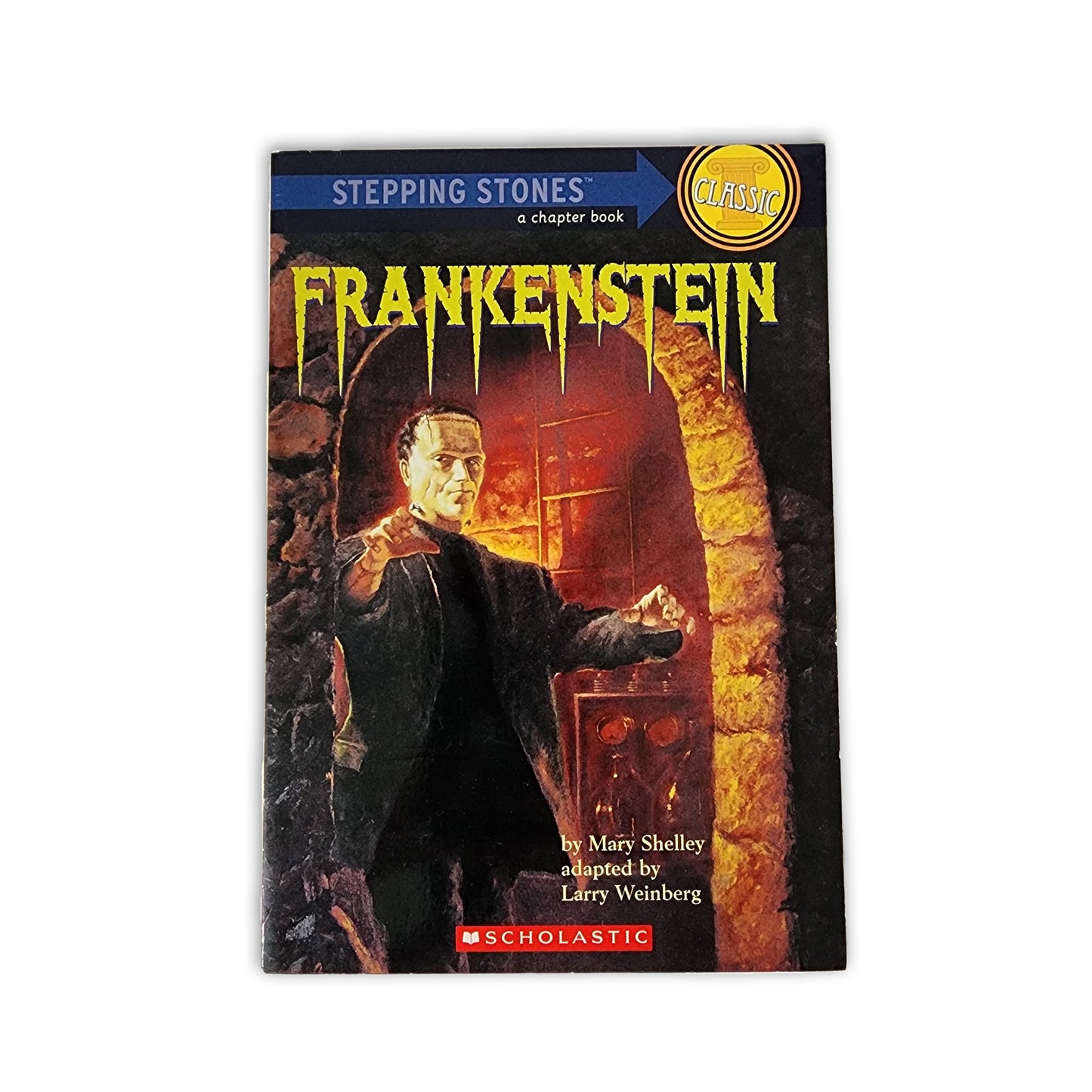 Mary Shelley - Frankenstein - 2005