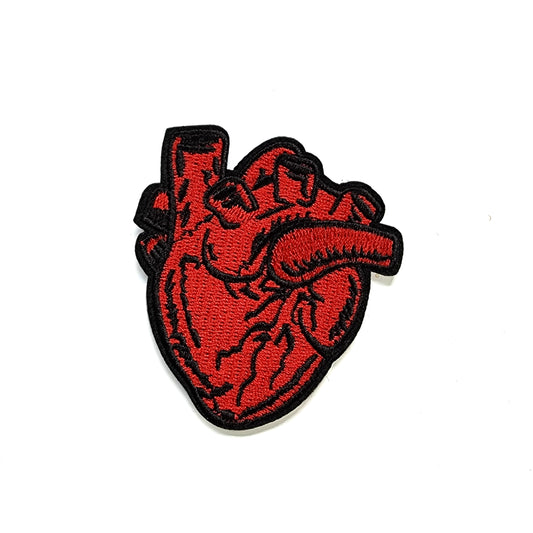 Anatomical Heart Patch